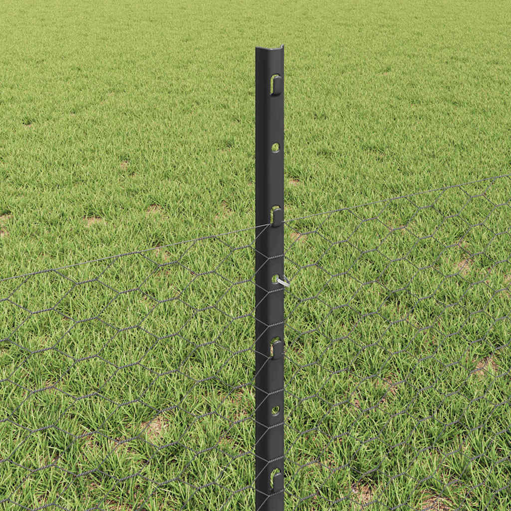 Geschweißter Drahtzaun 10 x 0,5 m (B x H)