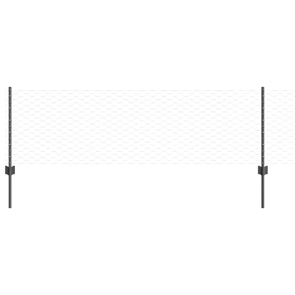 Geschweißter Drahtzaun 10 x 0,6 m (B x H)