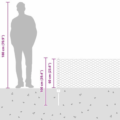 Sechseckzaun mit Pfosten 10 x 0,6 m PVC-beschichteter Stahl