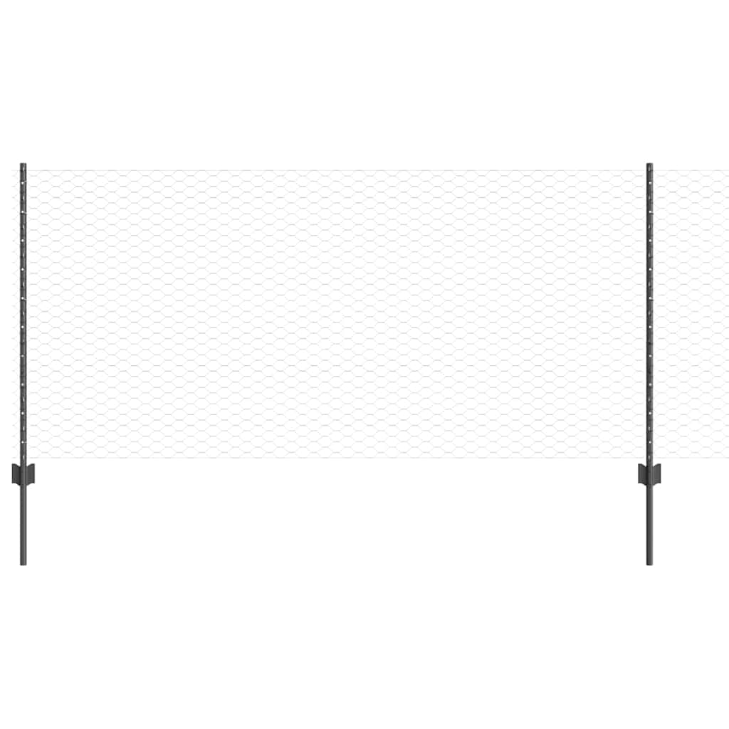 Geschweißter Drahtzaun 10 x 0,8 m (B x H)