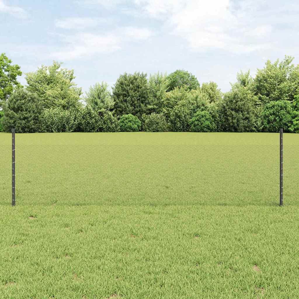 Geschweißter Drahtzaun 25 x 0,5 m (B x H)