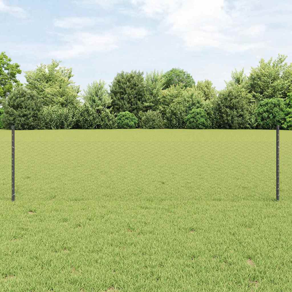 Geschweißter Drahtzaun 25 x 0,5 m (B x H)