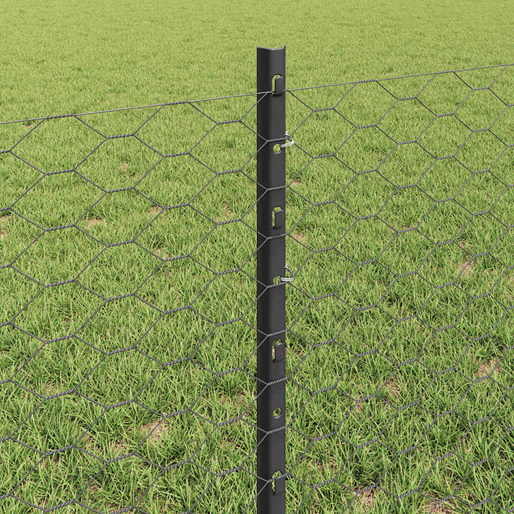 Geschweißter Drahtzaun 25 x 0,6 m (B x H)