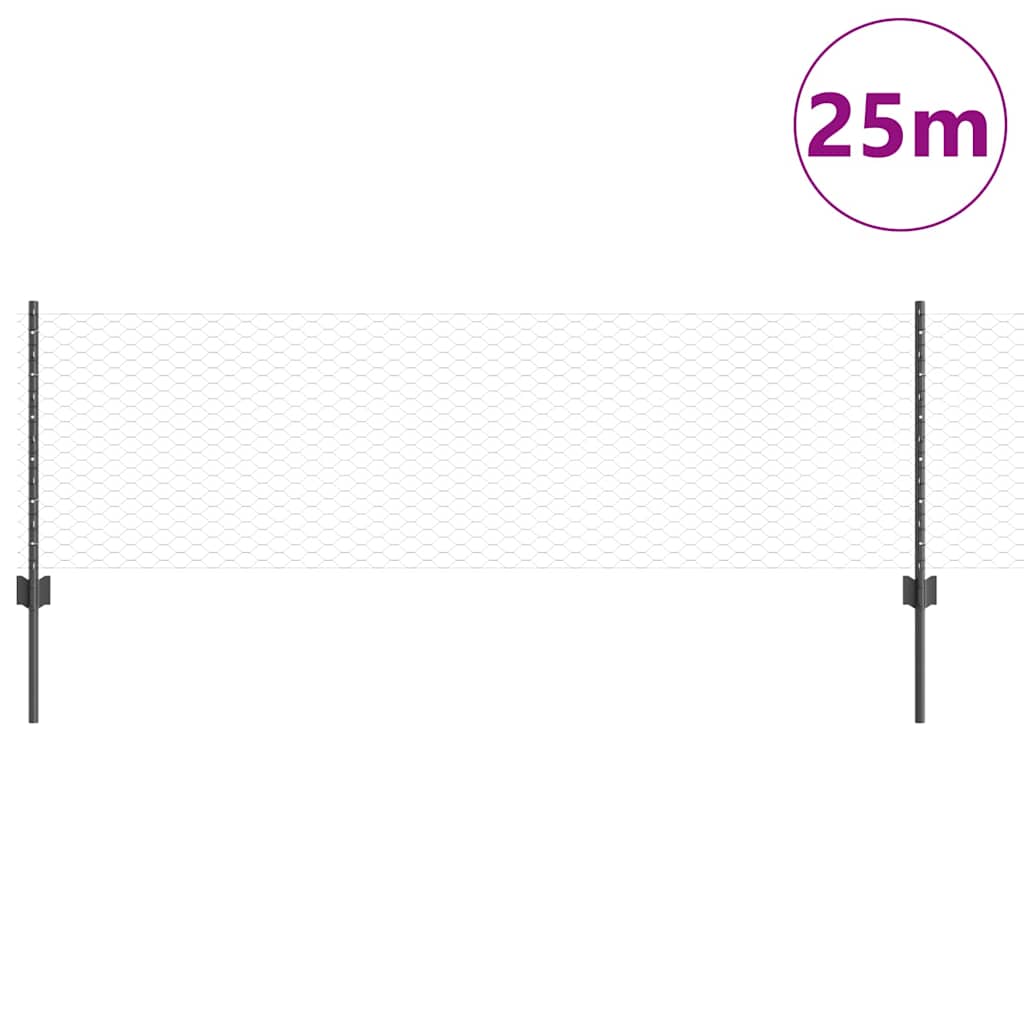 Geschweißter Drahtzaun 25 x 0,6 m (B x H)