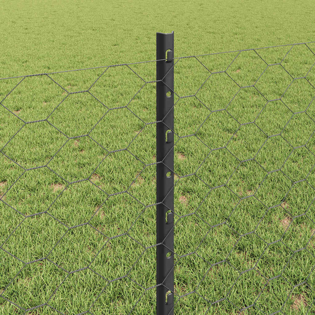 Geschweißter Drahtzaun 25 x 0,8 m (B x H)