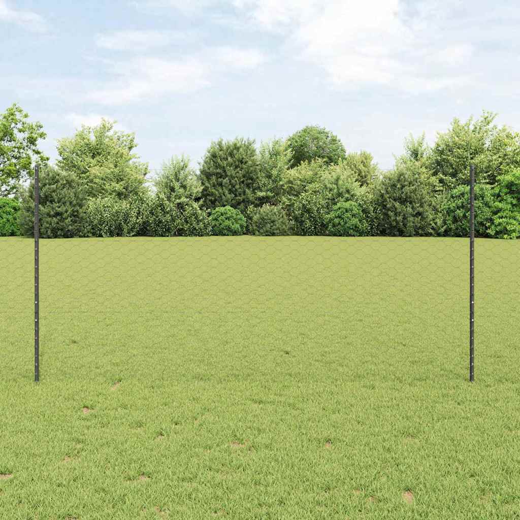 Geschweißter Drahtzaun 25 x 1,2 m (B x H)