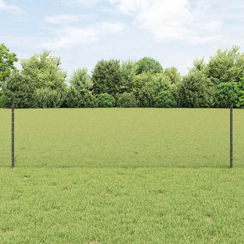 Geschweißter Drahtzaun 50 x 0,6 m (B x H)