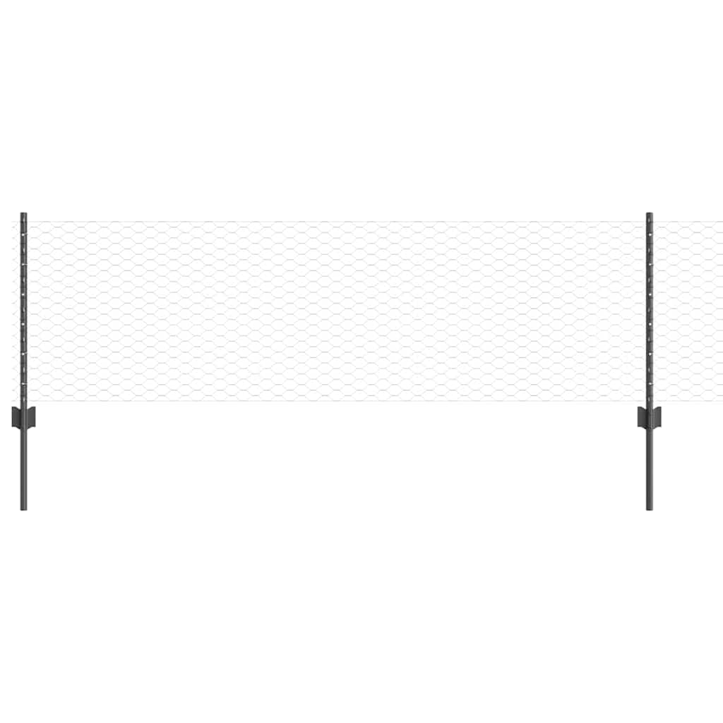Geschweißter Drahtzaun 50 x 0,6 m (B x H)