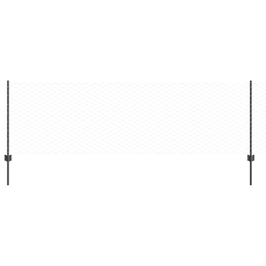 Geschweißter Drahtzaun 50 x 0,8 m (B x H)