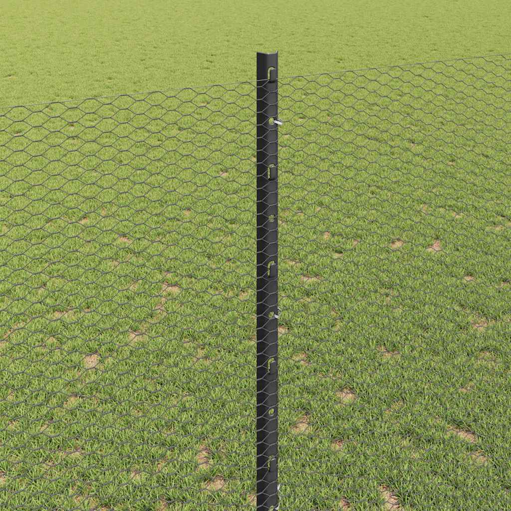 Geschweißter Drahtzaun 50 x 1,4 m (B x H)