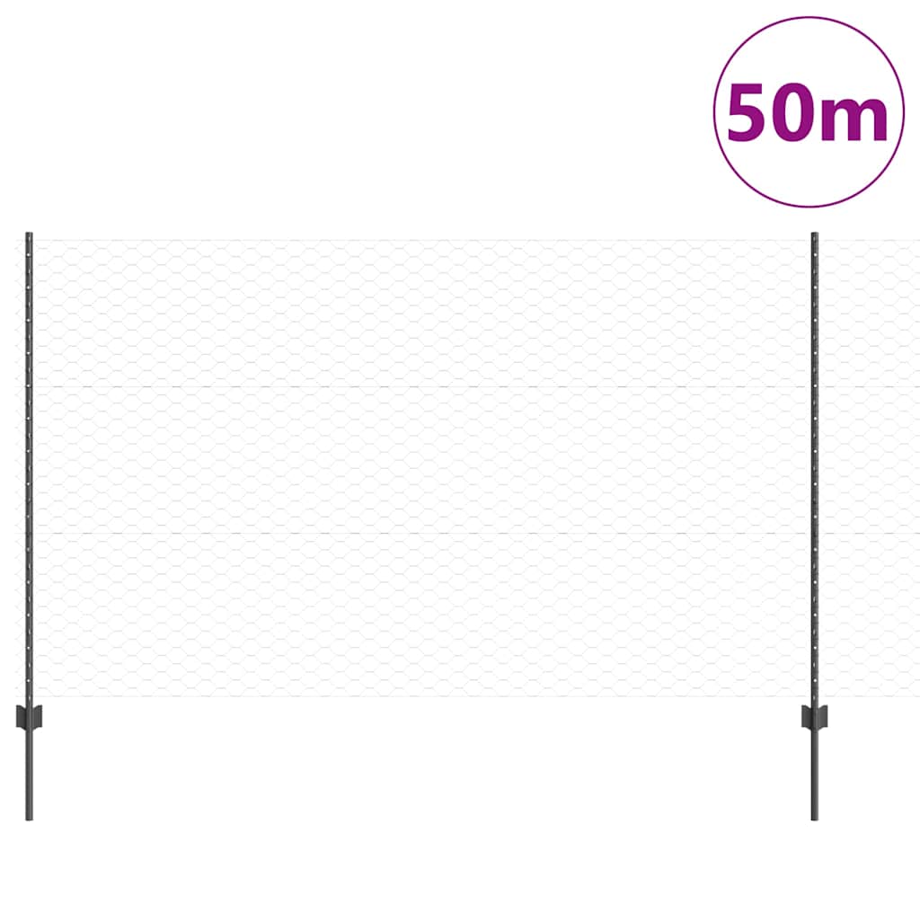 Geschweißter Drahtzaun 50 x 1,4 m (B x H)