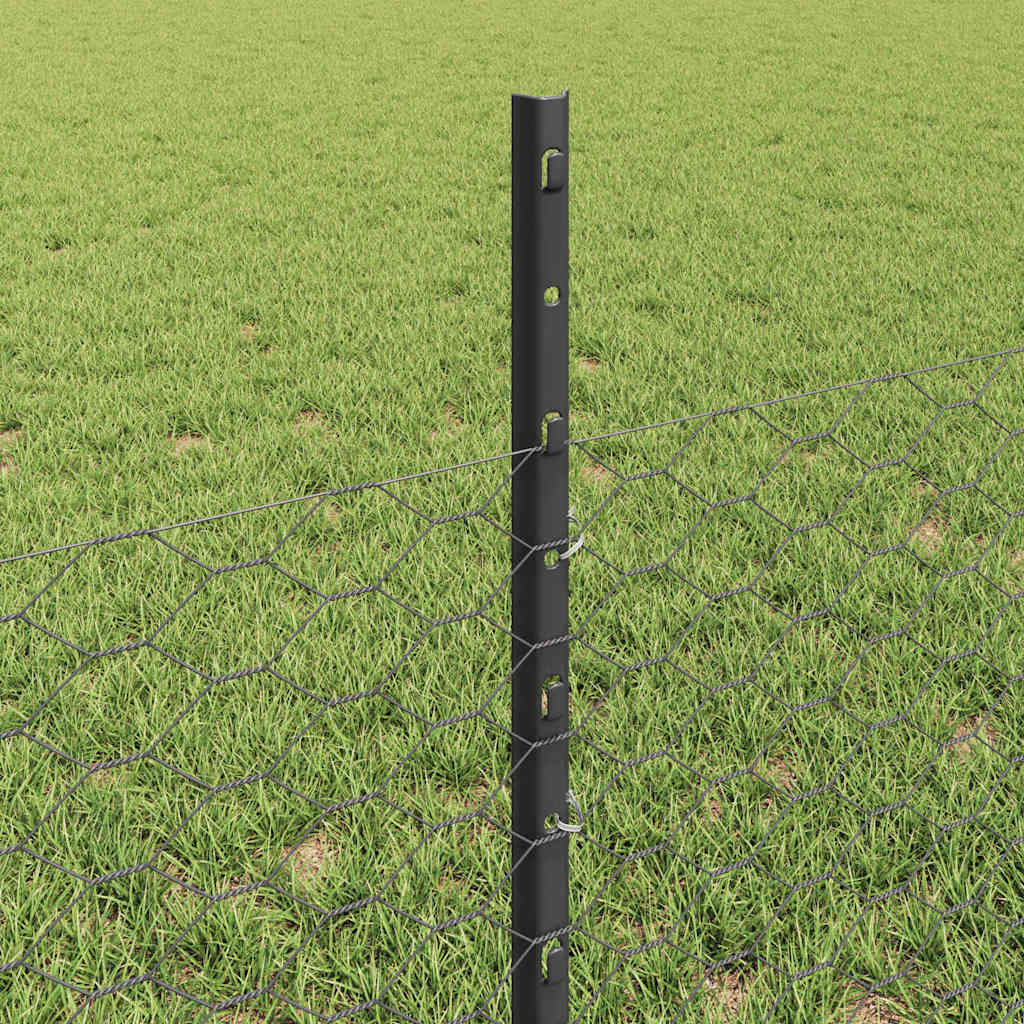Geschweißter Drahtzaun 100 x 0,5 m (B x H)