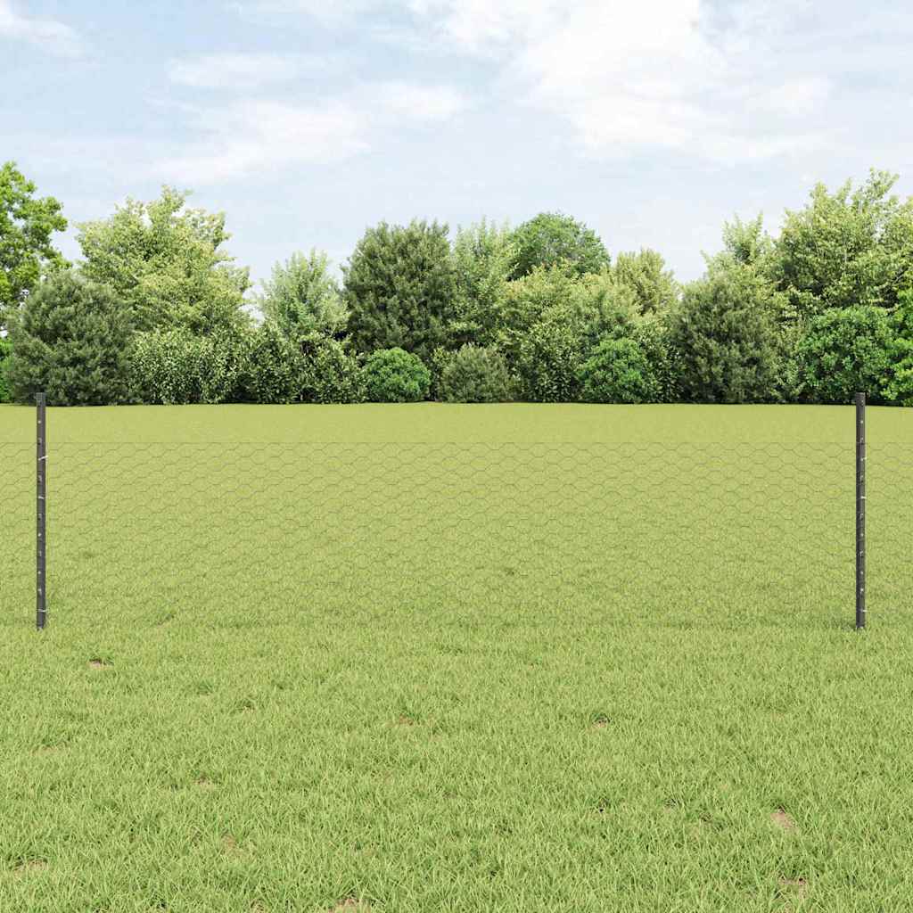 Geschweißter Drahtzaun 100 x 0,5 m (B x H)