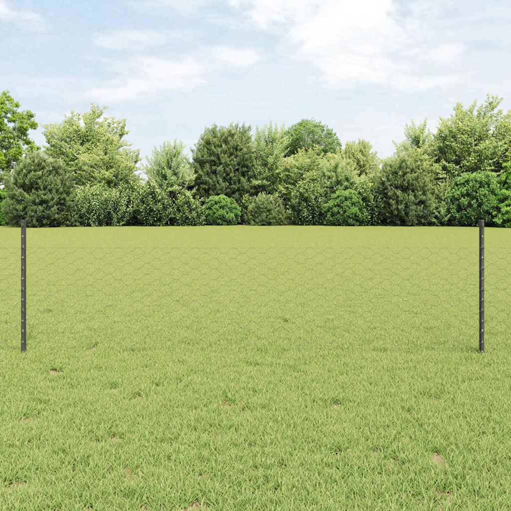 Geschweißter Drahtzaun 100 x 0,5 m (B x H)