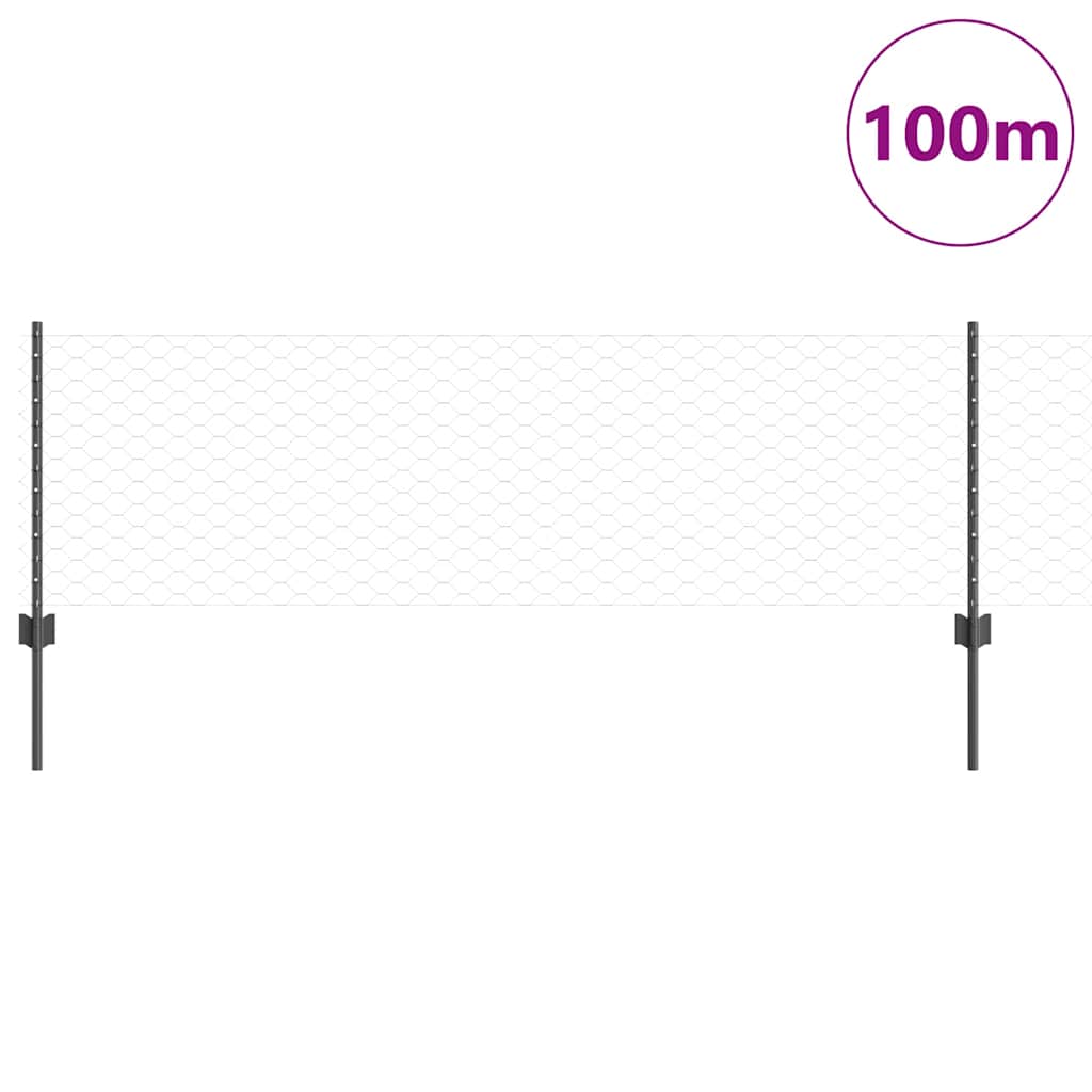 Geschweißter Drahtzaun 100 x 0,6 m (B x H)