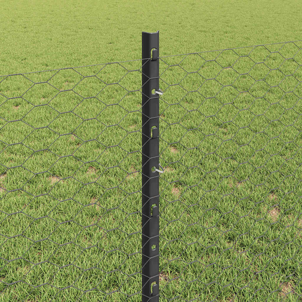 Geschweißter Drahtzaun 100 x 0,8 m (B x H)