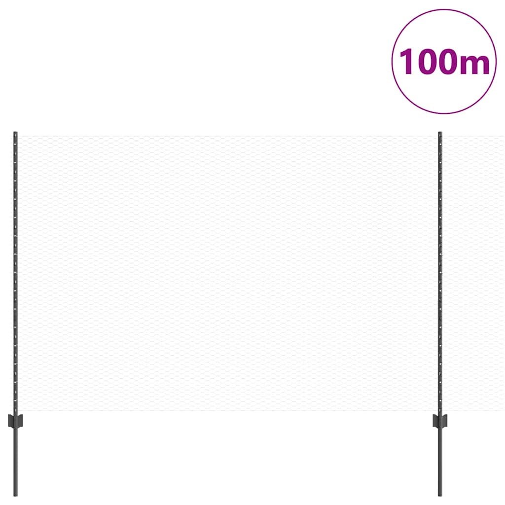 Geschweißter Drahtzaun 100 x 1,6 m (B x H)