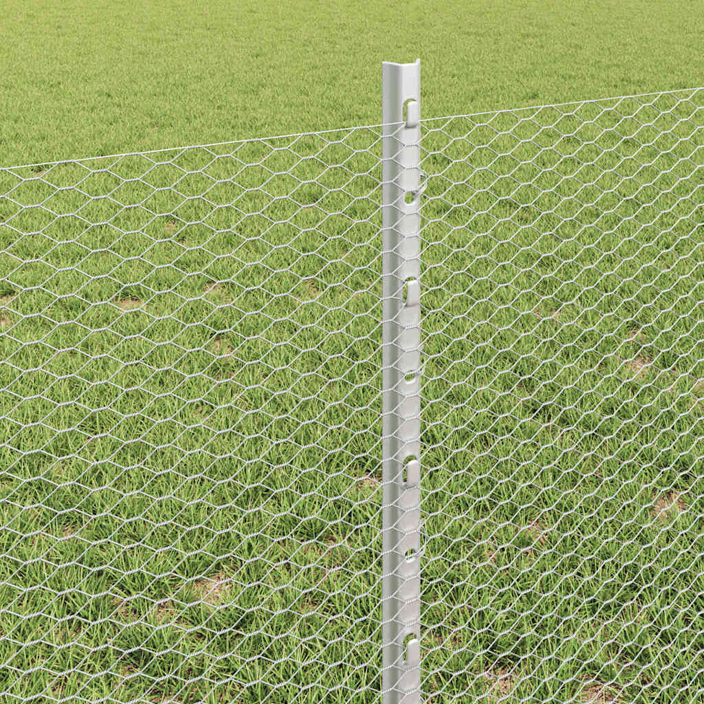 Geschweißter Drahtzaun 10 x 0,6 m (B x H) Feuerverzinkter Stahl