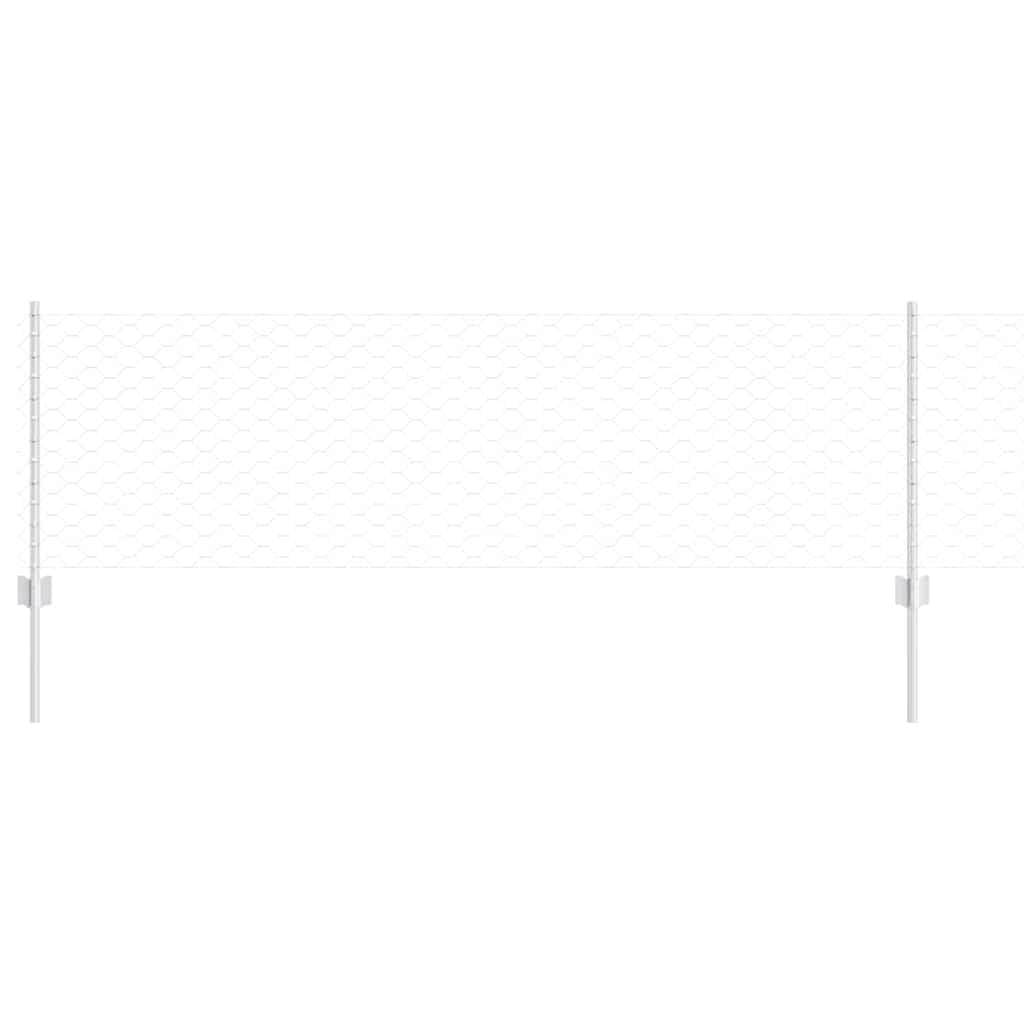 Geschweißter Drahtzaun 10 x 0,6 m (B x H) Feuerverzinkter Stahl