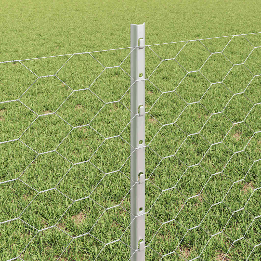 Geschweißter Drahtzaun 25 x 0,6 m (B x H) Feuerverzinkter Stahl