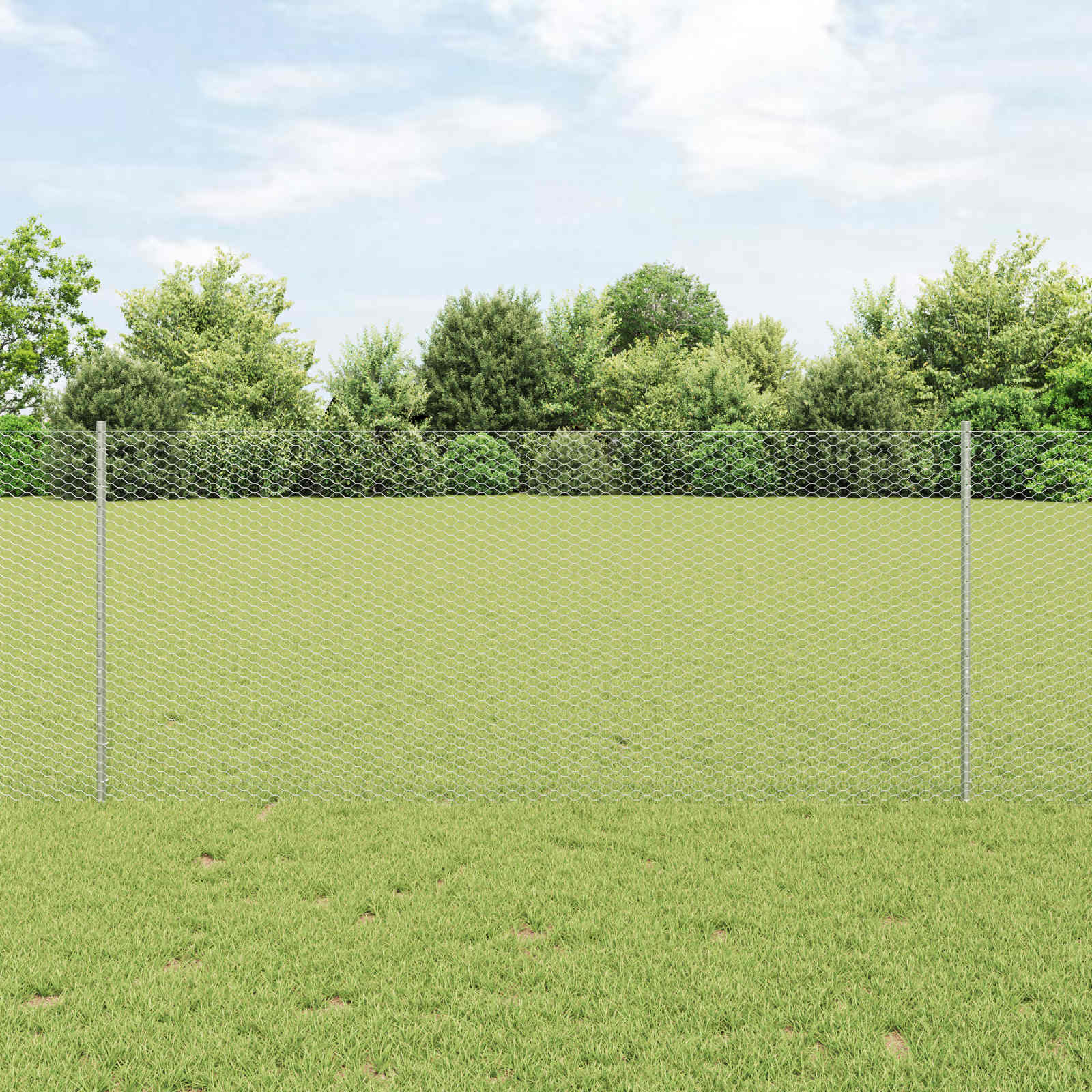 Geschweißter Drahtzaun 25 x 1 m (B x H) Feuerverzinkter Stahl