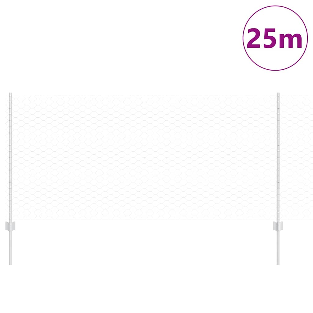 Geschweißter Drahtzaun 25 x 1 m (B x H) Feuerverzinkter Stahl