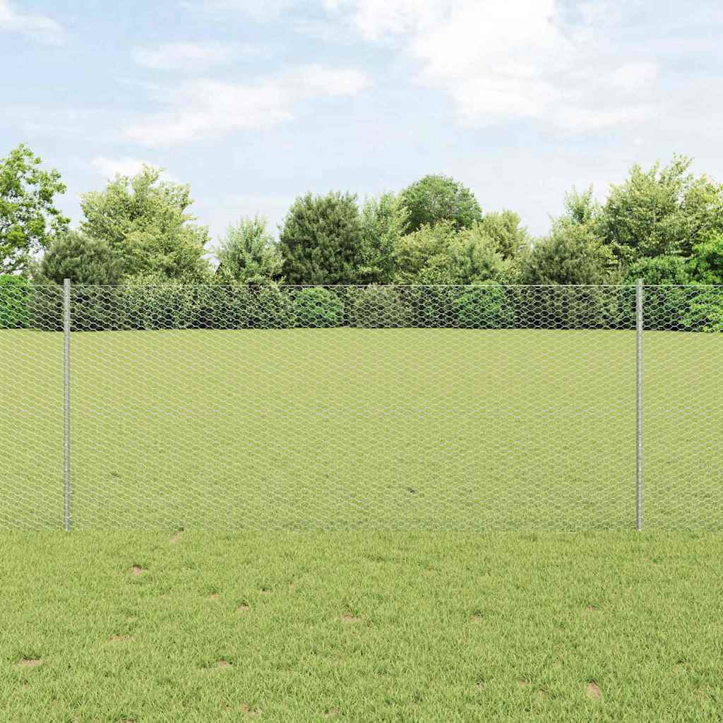 Geschweißter Drahtzaun 50 x 1 m (B x H) Feuerverzinkter Stahl