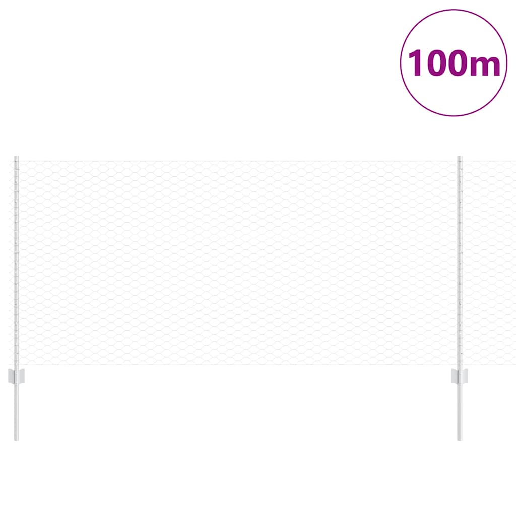 Geschweißter Drahtzaun 100 x 1 m (B x H) Feuerverzinkter Stahl