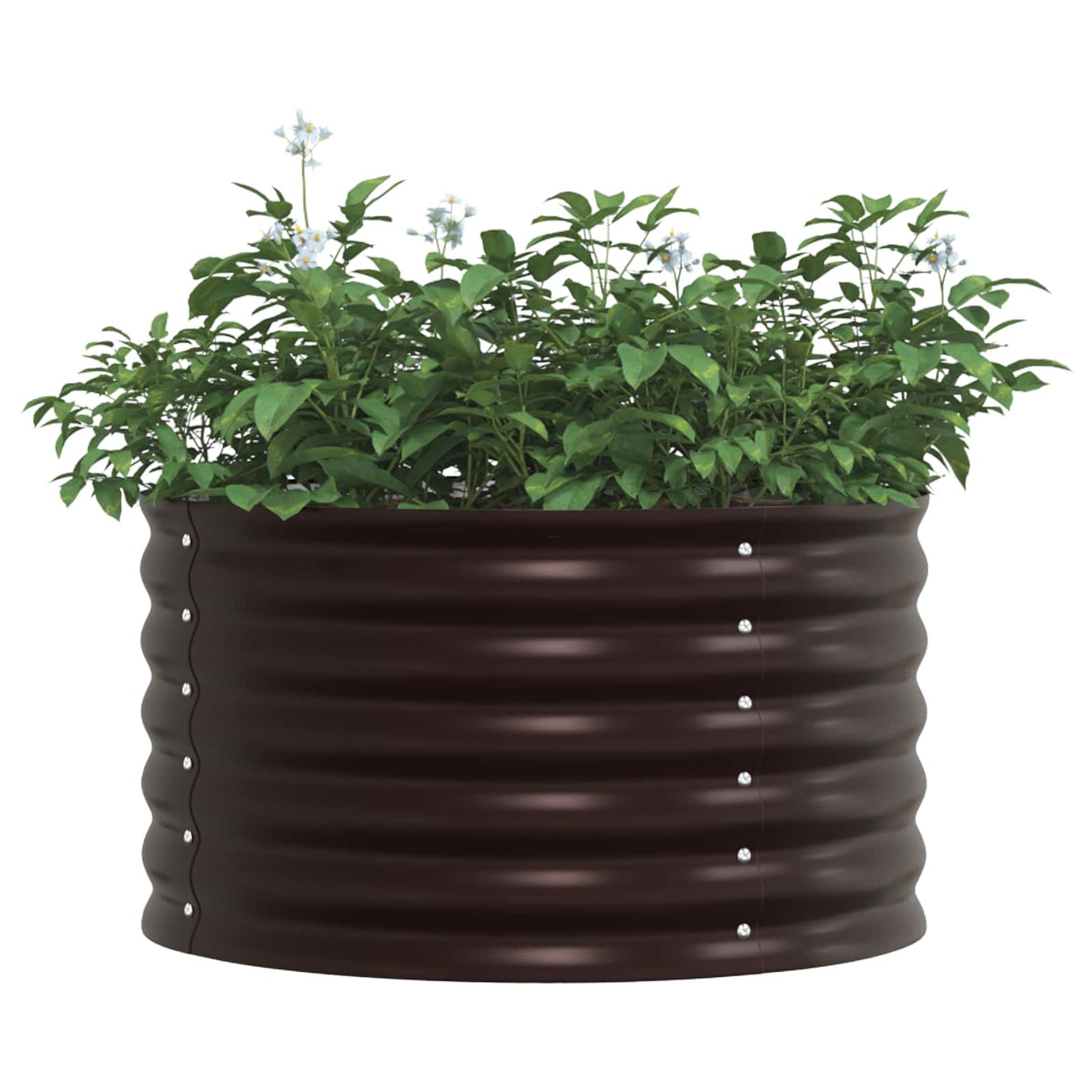 Hochbeet Braun 80 x 80 x 44 cm Stahl