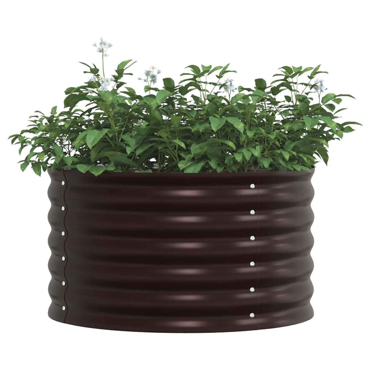 Hochbeet Braun 80 x 80 x 44 cm Stahl