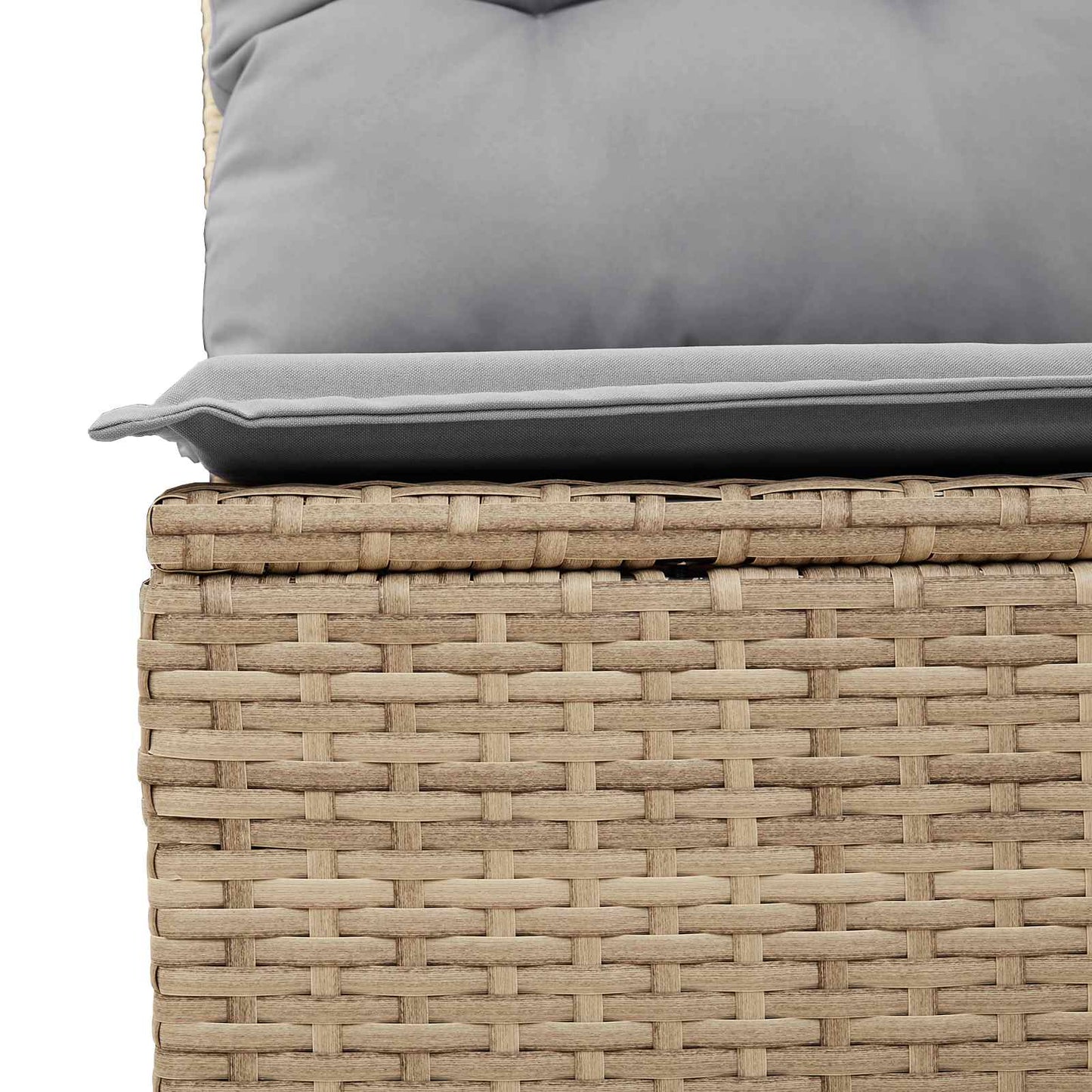 Gartensofa-set mit Kissen 10 pcs Beige und Hellgrau