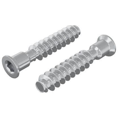 Kopfschraube 2 Stk. Silber M7 x 40 mm Stahl