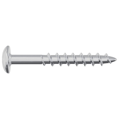Schraube 2 Stk. Silber 9,8 x 35 mm Eisen