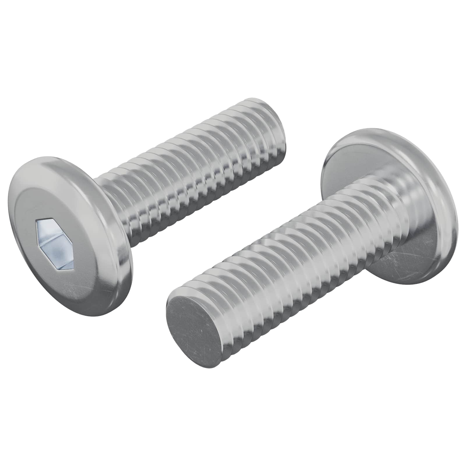 Schraube 2 Stk. Silber 8 x 25 mm Stahl