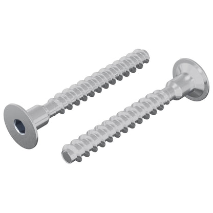 Schraube 2 stk. Zink-beschichtet 5 x 40 mm Eisen
