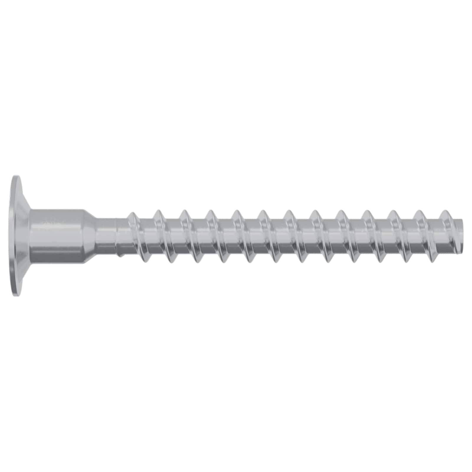 Schraube 12 stk. Zink-beschichtet 5 x 40 mm Eisen
