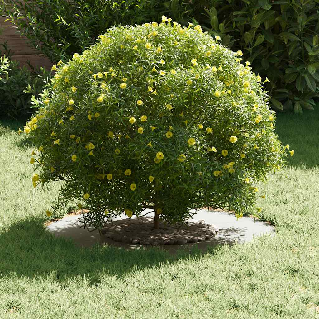 geeignet für flache Baumringe 5 Stk. Weiß Ø30/60 cm Stahl