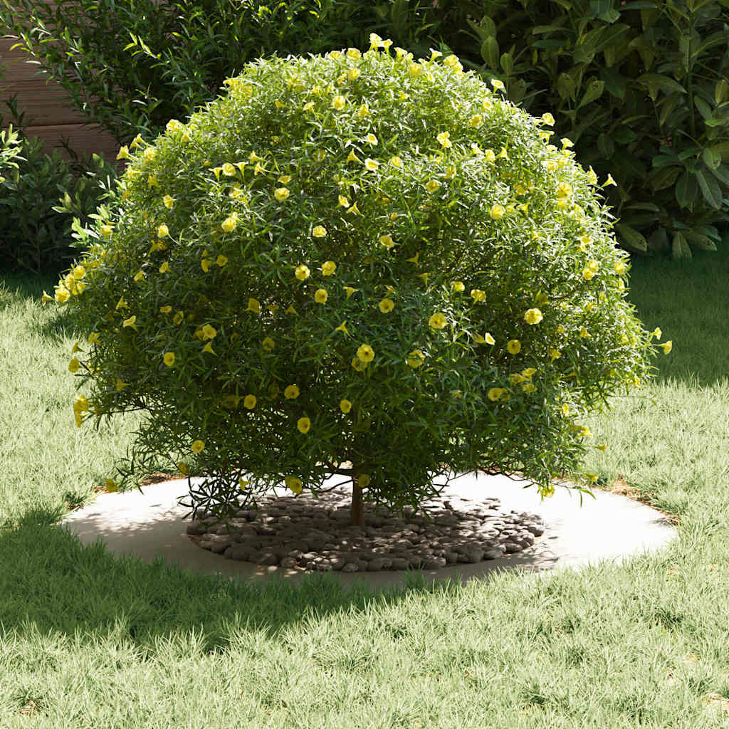 geeignet für flache Baumringe 5 Stk. Weiß Ø40/70 cm Stahl