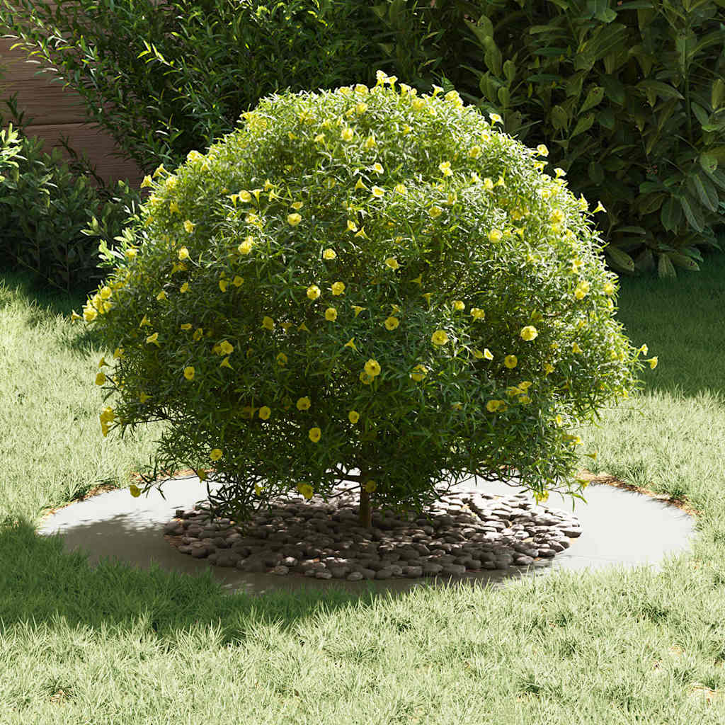geeignet für flache Baumringe 5 Stk. Weiß Ø50/80 cm Stahl