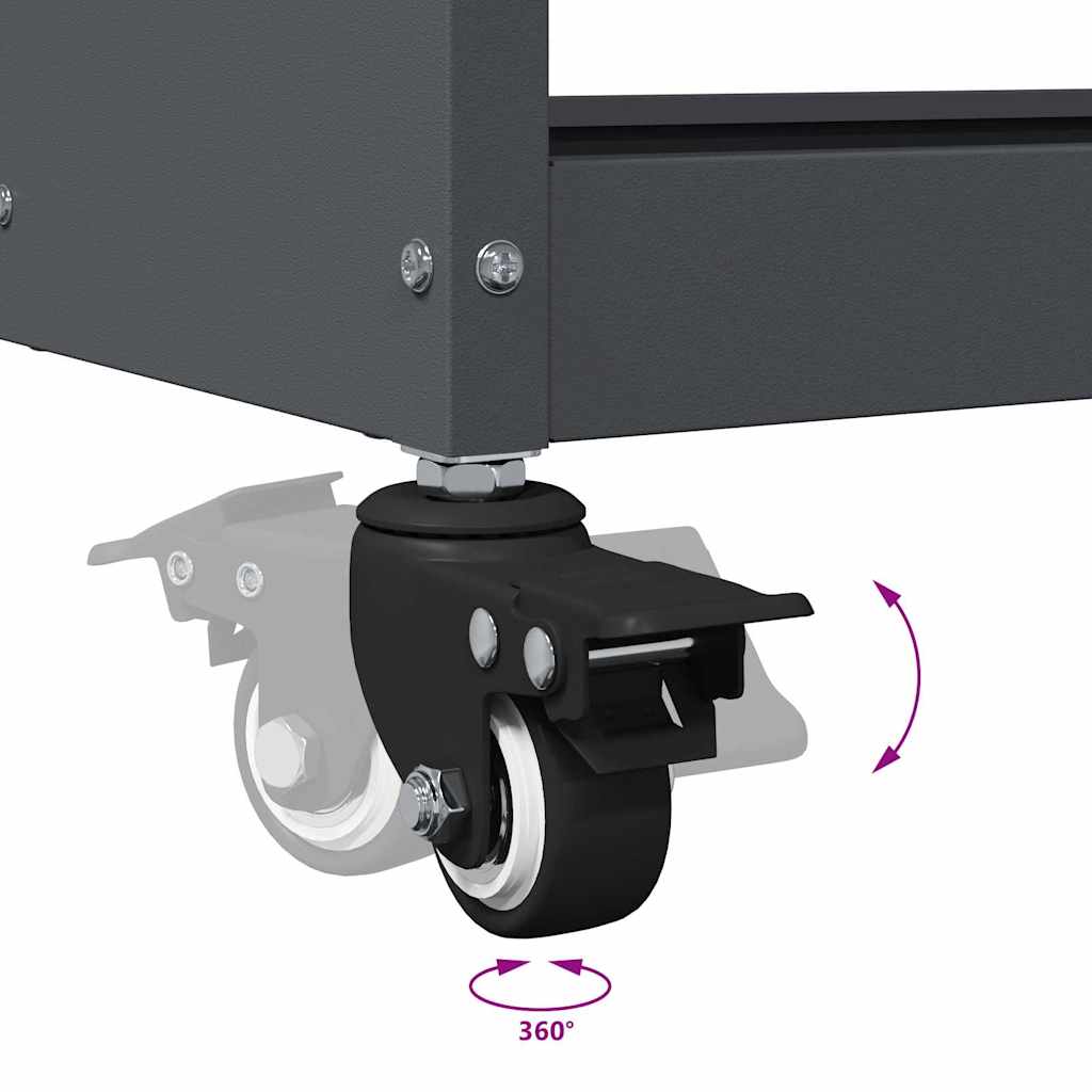 Werkzeugwagen Anthrazit 75 x 35 x 73 cm Kaltgewalzter Stahl