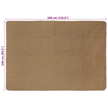 Bereichsteppich Hellbraun 240 x 340 cm Jute