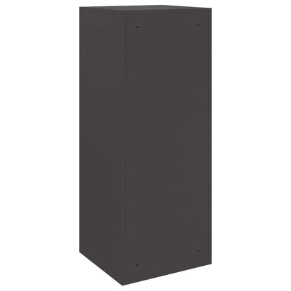 Paketdrop-Box mit Speicher Schwarz 41 x 38 x 103 cm Stahl