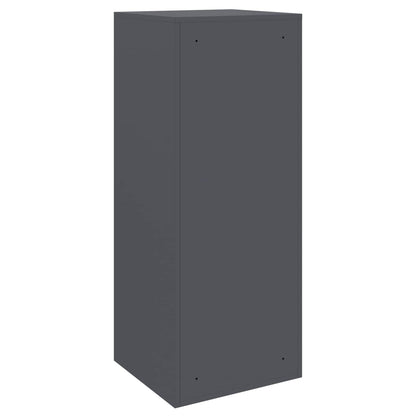 Paketdrop-Box mit Speicher Anthrazit 41 x 38 x 103 cm Stahl