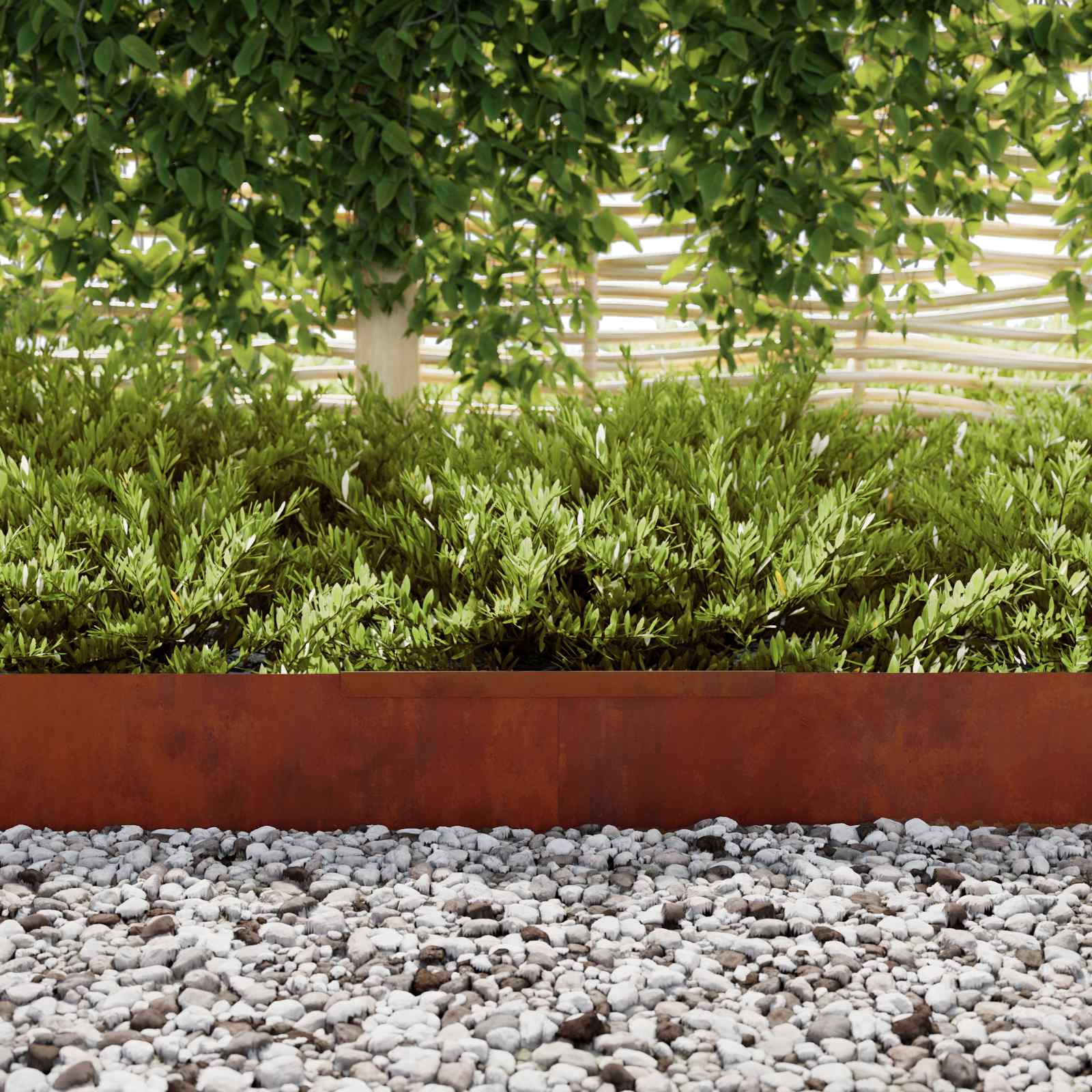 Raseneinfassung 450 x 20 cm Wetterfeststahl Rostig