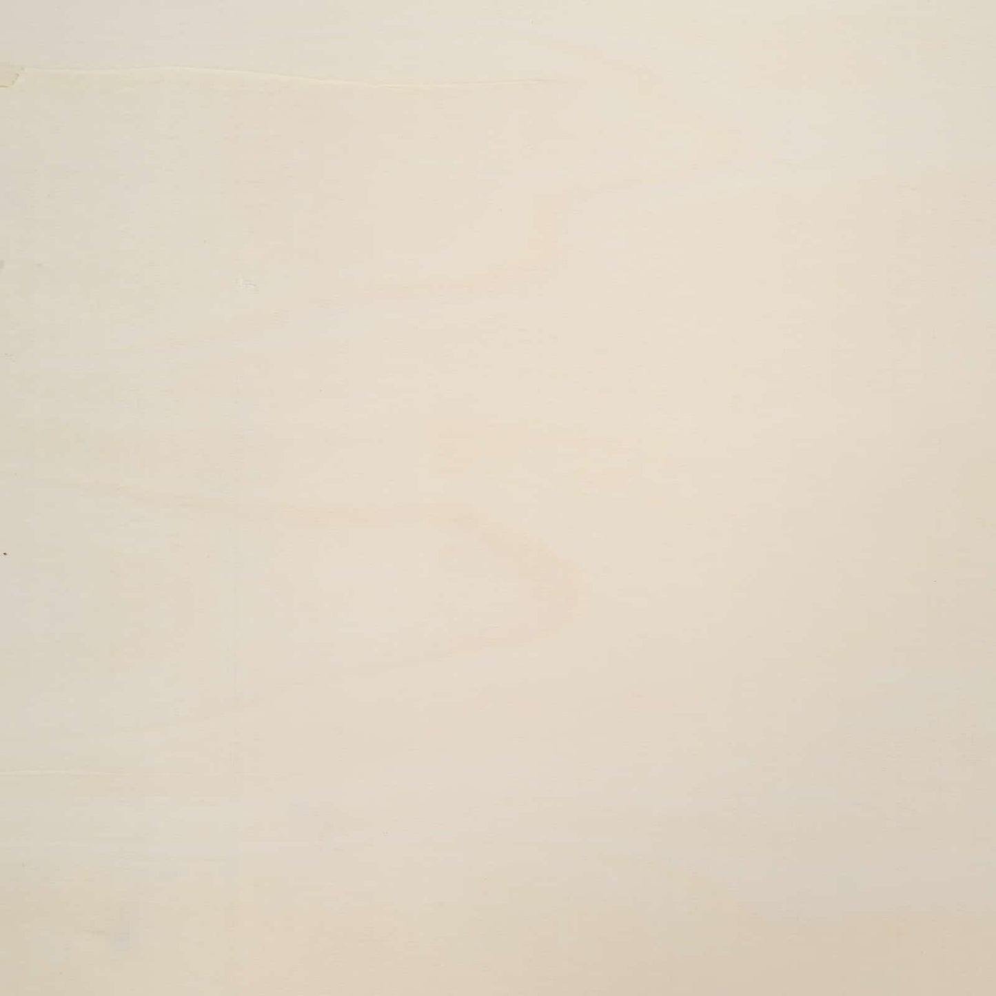 Wanddisplay-Case Wandhalterung Beige 60 x 8,5 x 37 cm