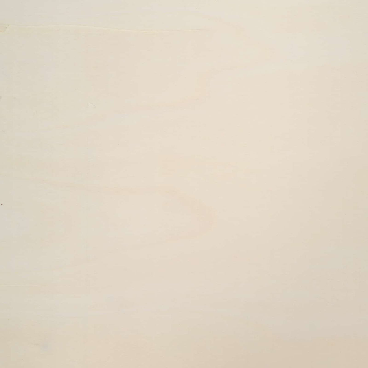 Wanddisplay-Case Wandhalterung Beige 80 x 8,5 x 36 cm