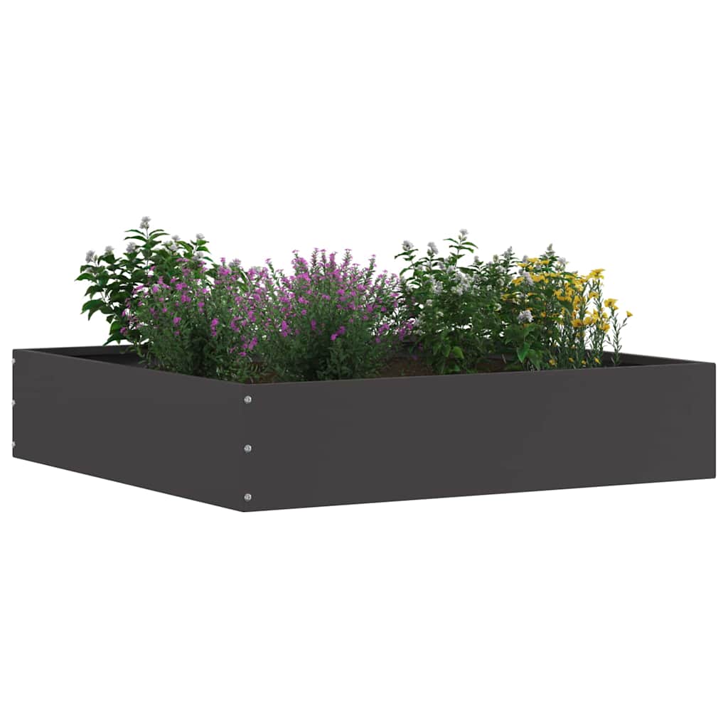 Rasenkante 60 x 60 x 13 cm Stahl Schwarz