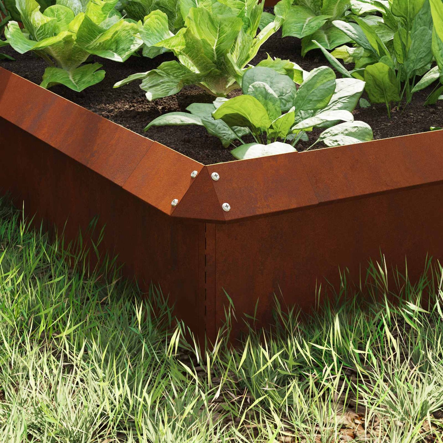 Schneckenzauns 8 stk. 100 x 3,5 x 25 cm Wetterfeststahl Rostig