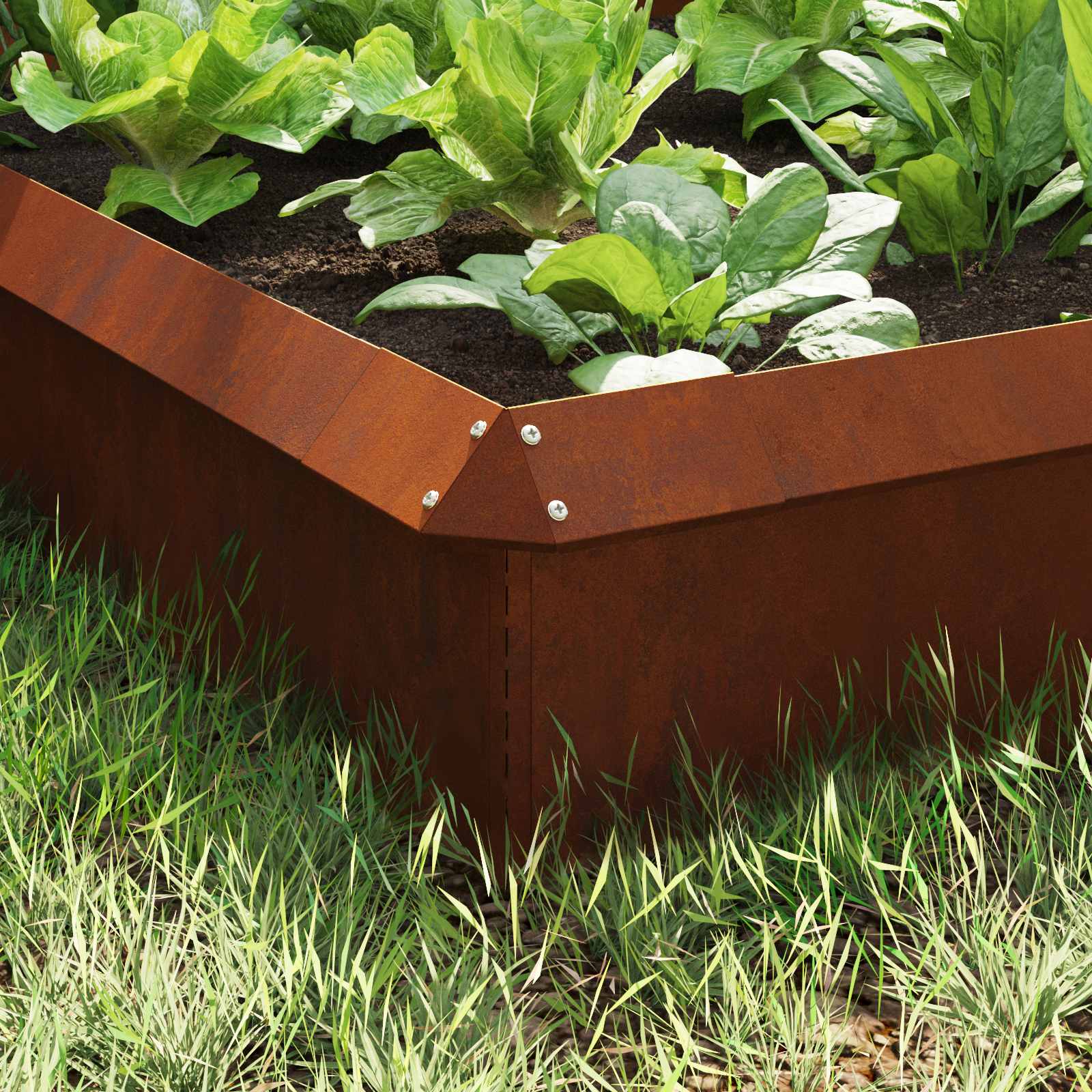 Schneckenzauns 8 stk. 100 x 3,5 x 25 cm Wetterfeststahl Rostig