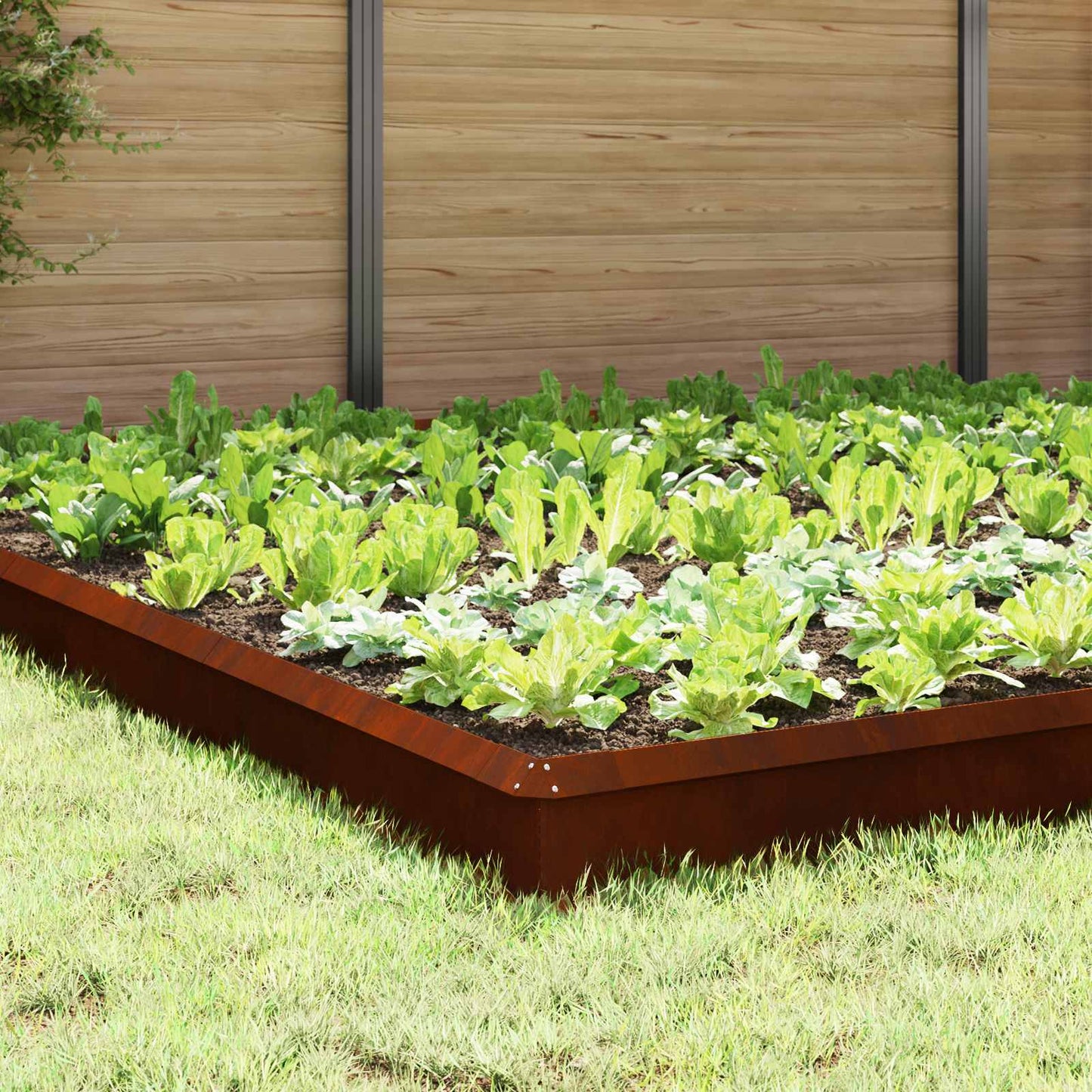 Schneckenzauns 20 stk. 100 x 3,5 x 25 cm Wetterfeststahl Rostig
